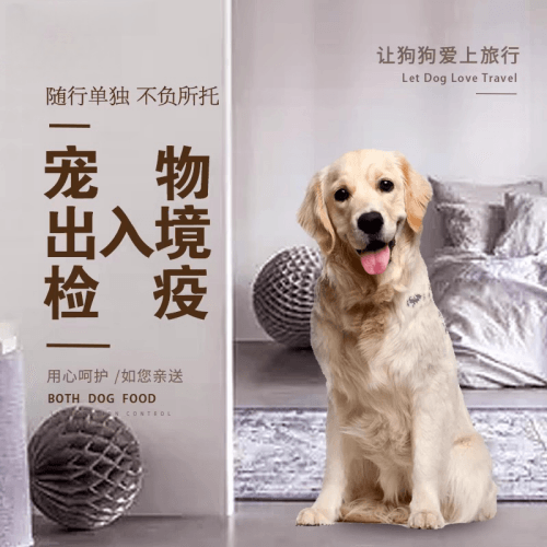 湘潭市宠物托运到哥伦比亚猫狗宠物入境规定和