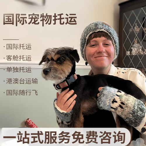 湘潭市国际宠物托运到阿根廷宠物入境规定和要