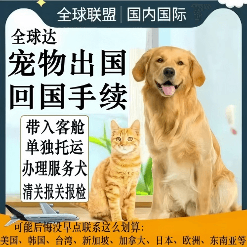 湘潭市宠物托运到柬埔寨宠物入境规定和要求