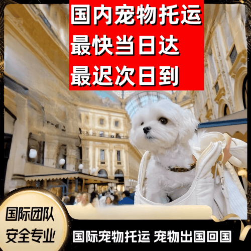 湘潭市到澳大利亚（澳洲）宠物入境规定和要求